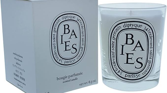 Diptyque Baies Candle-6.5 oz 